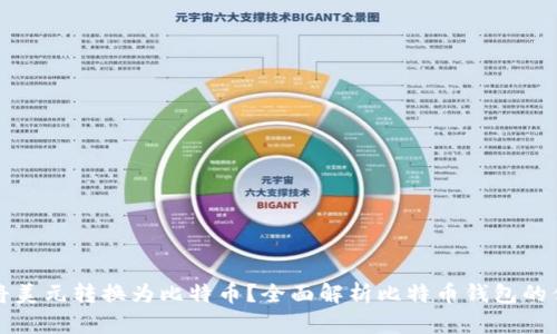 为什么要将美元转换为比特币？全面解析比特币钱包的优势与风险