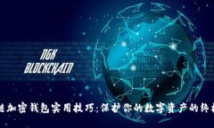 区块链加密钱包实用技巧
