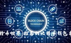 畅游比特币世界：推荐的