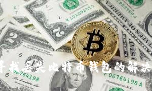 如何寻找丢失比特币钱包的解决方案？