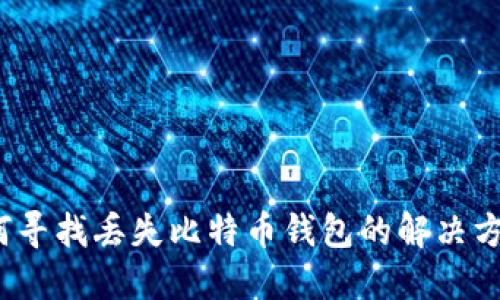 如何寻找丢失比特币钱包的解决方案？