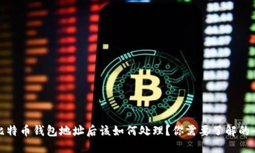 丢失比特币钱包地址后该如何处理？你需要了解的全攻略