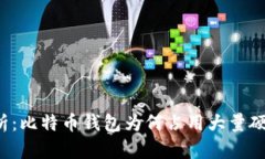 深入解析：比特币钱包为何占用大量硬盘空间？