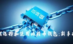 如何选择和使用比特币钱包：新手指南