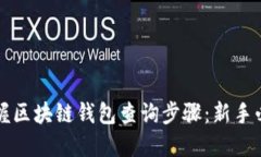 轻松掌握区块链钱包查询步骤：新手必看指南