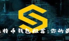 最适合用户的比特币钱包推荐：你的最佳选择是