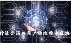 如何选择适合瑞典用户的