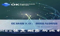 如何使用WinHex恢复删除的比特币钱包文件？