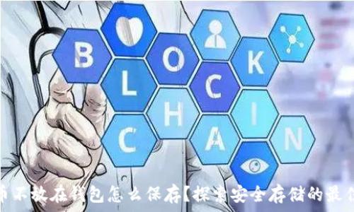   
比特币不放在钱包怎么保存？探索安全存储的最佳选择
