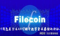 USDT钱包是什么APP？揭开数