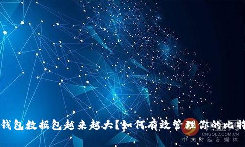 比特币钱包数据包越来越大？如何有效管理你的比特币资产