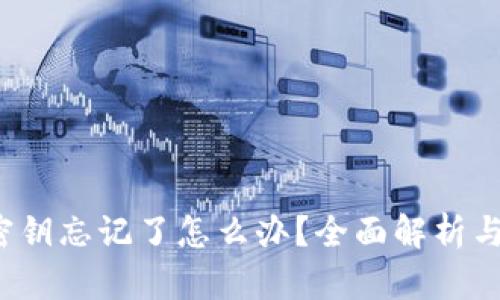 TP钱包密钥忘记了怎么办？全面解析与解决方案