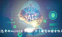 虚拟币钱包中的wallet文件解析：你了解它的安全