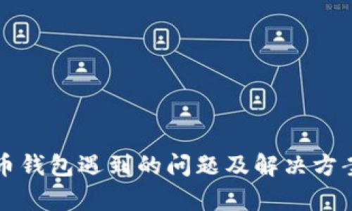 比特币钱包遇到的问题及解决方案解析