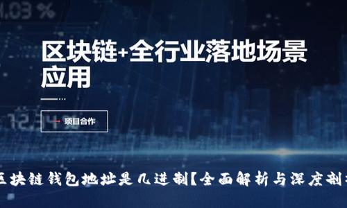 区块链钱包地址是几进制？全面解析与深度剖析
