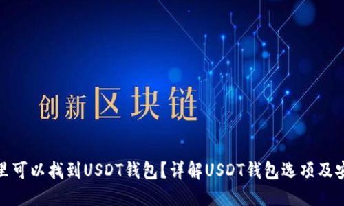 在哪里可以找到USDT钱包？详解USDT钱包选项及安全性