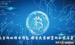无主的比特币钱包：探索