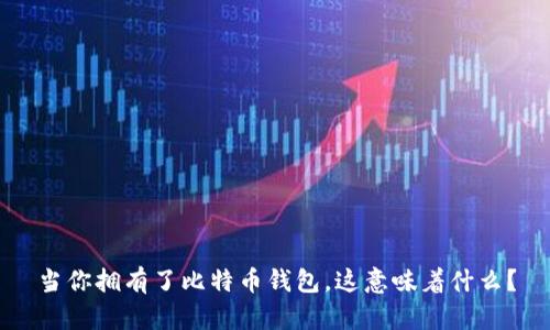 当你拥有了比特币钱包，这意味着什么？
