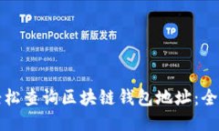 如何轻松查询区块链钱包地址：全面指南