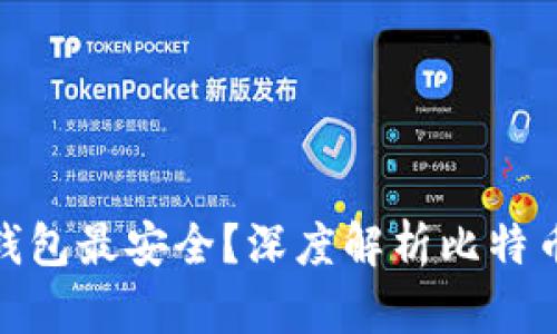 哪个比特币钱包最安全？深度解析比特币钱包安全性