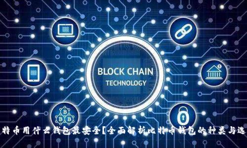 储存比特币用什么钱包最安全？全面解析比特币钱包的种类与选择指南