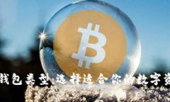 揭秘比特币钱包类型：选择适合你的数字资产保