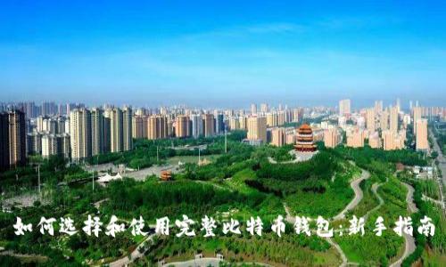 如何选择和使用完整比特币钱包：新手指南
