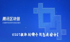USDT提取到哪个钱包更安全？