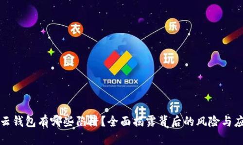 比特币云钱包有哪些陷阱？全面揭露背后的风险与应对策略